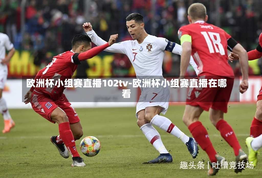 欧洲杯小组赛直播102tv-欧洲杯小组赛直播在哪看